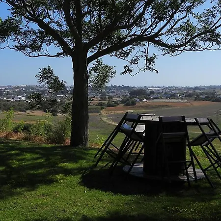 Holiday home Finca Algarrobillos